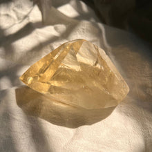 Load image into Gallery viewer, champagne citrine freeform 518TN
